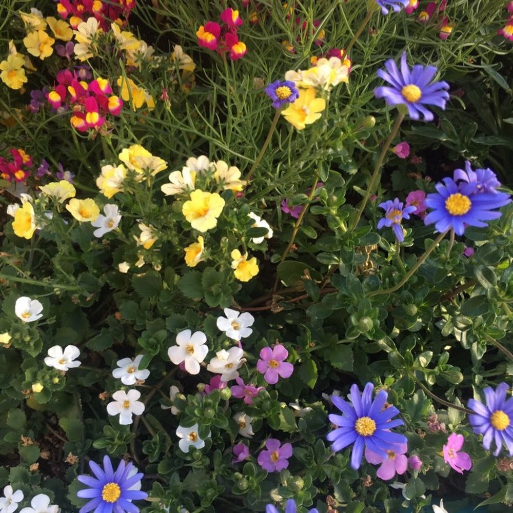 Meet your Posher, Joe